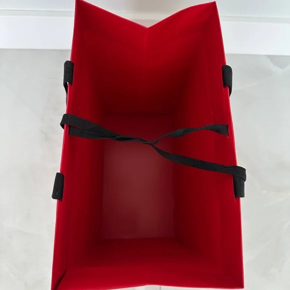 Salvatore Ferragamo Tall Shopping Bag Shoebox and 2 New Dust Bags PRICED TO SELL - Picture 15 of 15